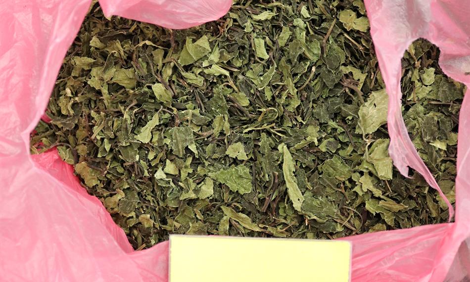 2019-12-19-1415foto 6.JPG